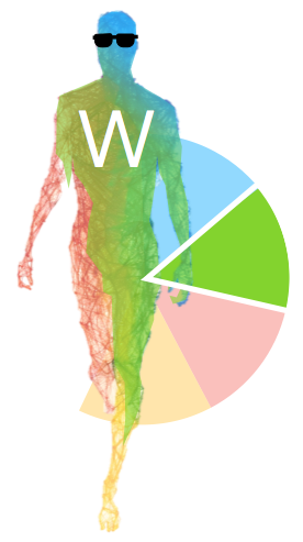 SEGMNZ: Handlungsmotivations Typ nach Max Weber W - Wertrational