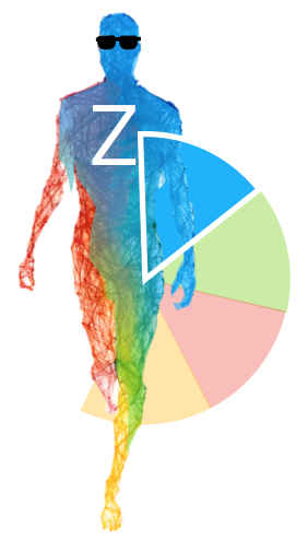 SEGMNZ: Handlungsmotivations Typ nach Max Weber Z - Zweckrational